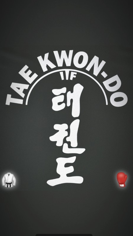 Lust auf Taekwon-Do? Image 1